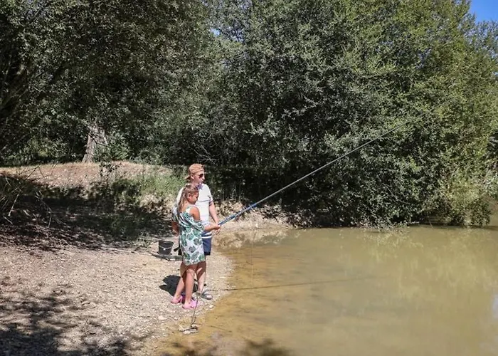 캠프장 Mobil-home Confortable Avec 2 Et Cuisine Equipee - Api-1-52-481